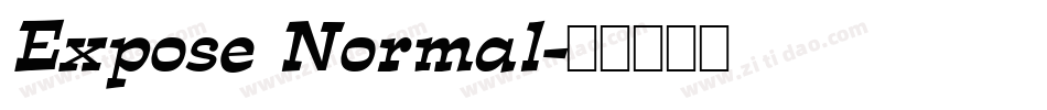 Expose Normal字体转换